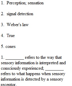 Chapter 5  Quiz